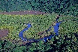 Aerial-view;-Comoros-Archipelago;-Estuary;-Forest;-France;-Indian-Ocean;-Kaleidos;-Kaleidos-images;-La-parole-à-limage;-Laurent-Abad;-Mangrove;-Mayotte;-Nature;-Stories-Pictures;-Tidal-channel